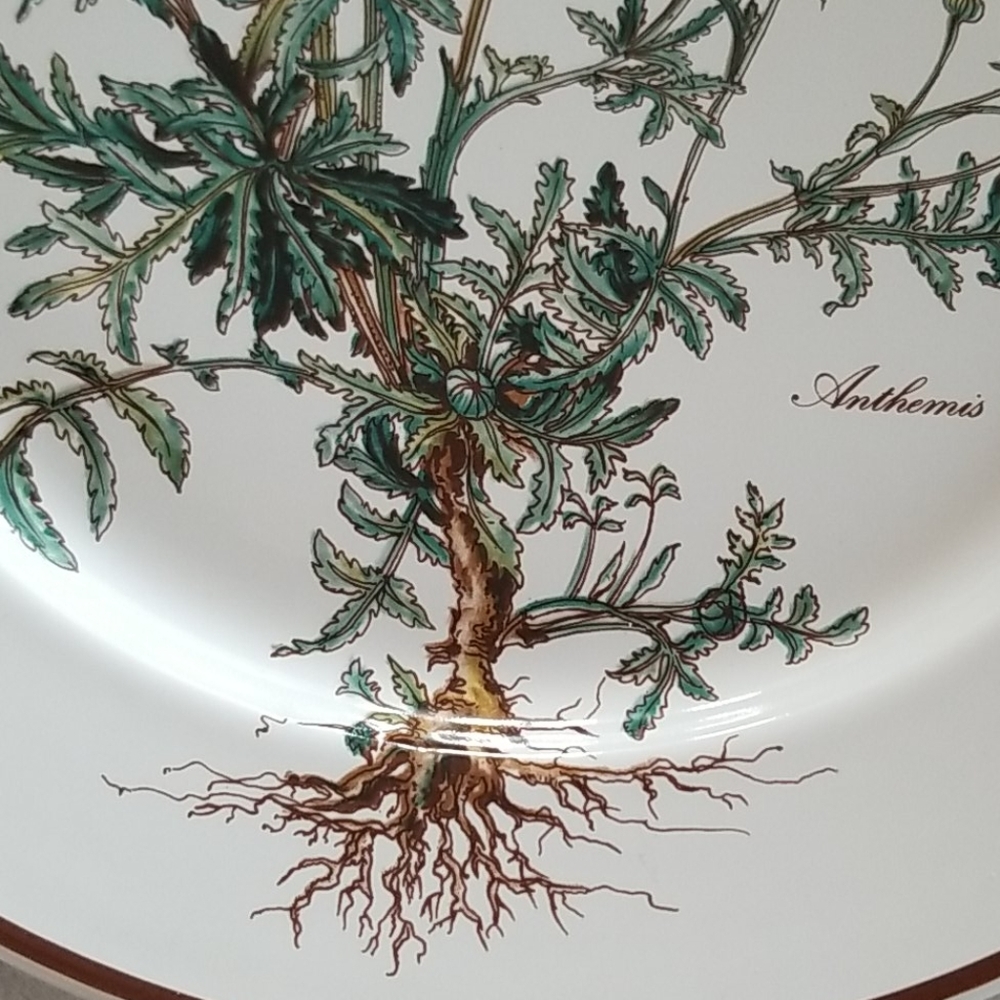 VILLEROY & BOCH
Botanica Porcelain Dinner Plate - Picture 5 of 11